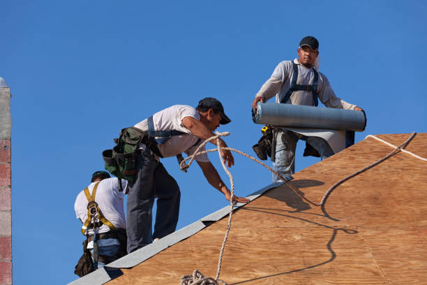 Best Roof Restoration Services  in Wadena, MN