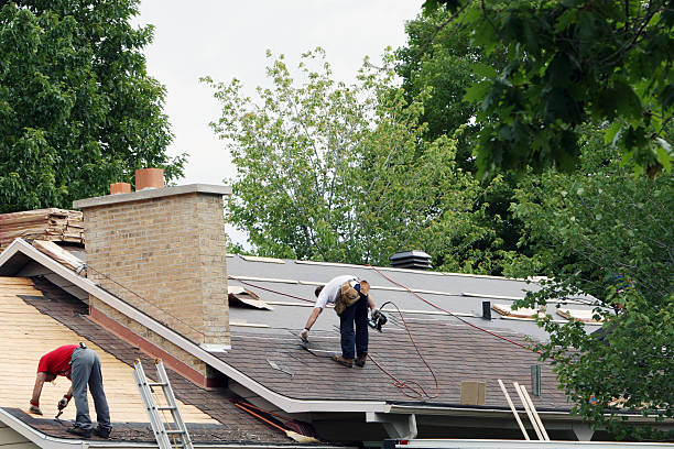 Best Roof Maintenance Services  in Wadena, MN