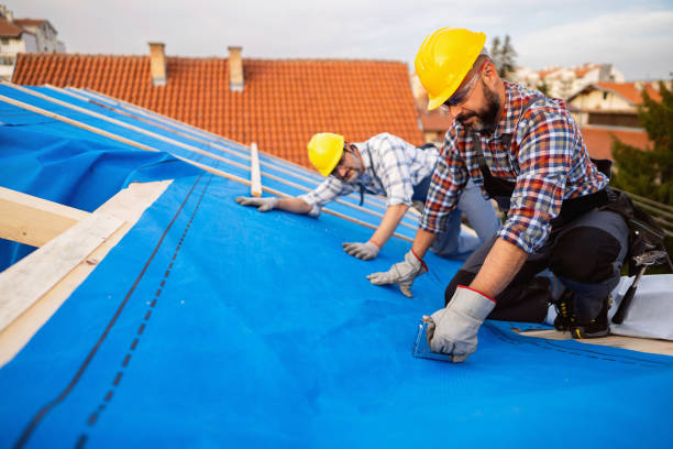 Roof Waterproofing Services in Wadena, MN