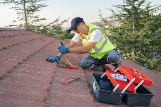 Best Commercial Roofing Services  in Wadena, MN