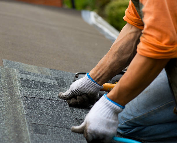 Best Best Roofing Contractors  in Wadena, MN
