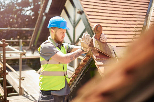 Best Roof Waterproofing Services  in Wadena, MN