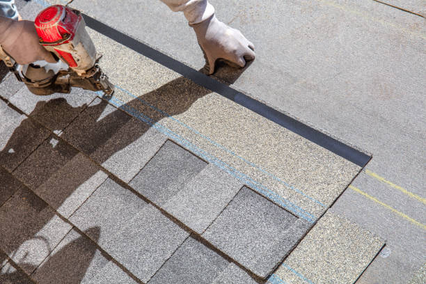 Best Shingle Roofing Installation  in Wadena, MN