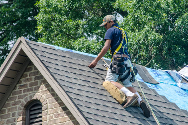 Best New Roof Installation  in Wadena, MN